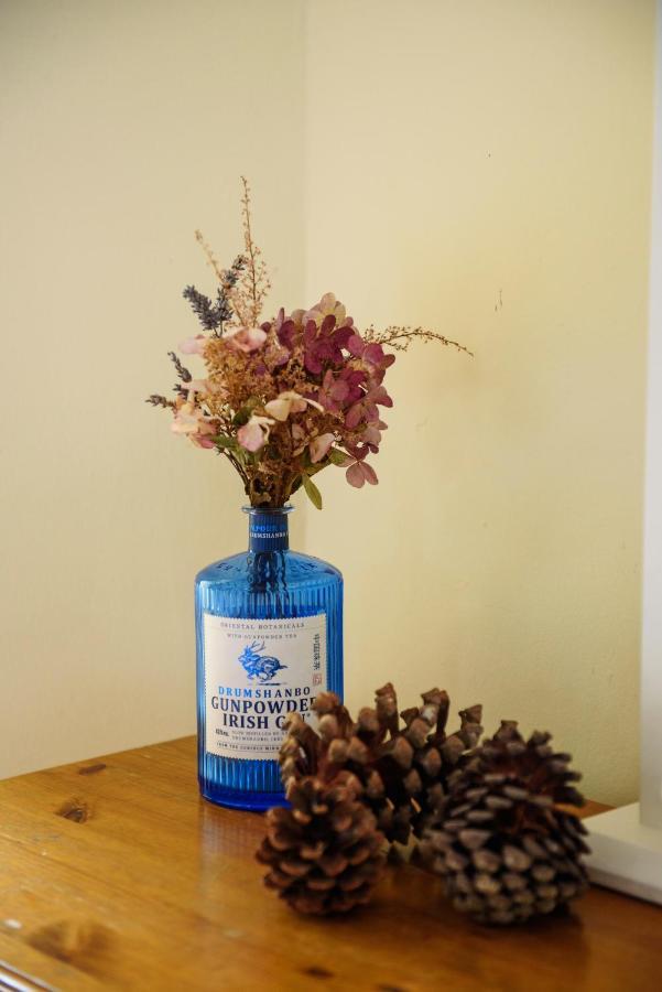 Waterfront Self Catering Houses Carrick on Shannon Kültér fotó