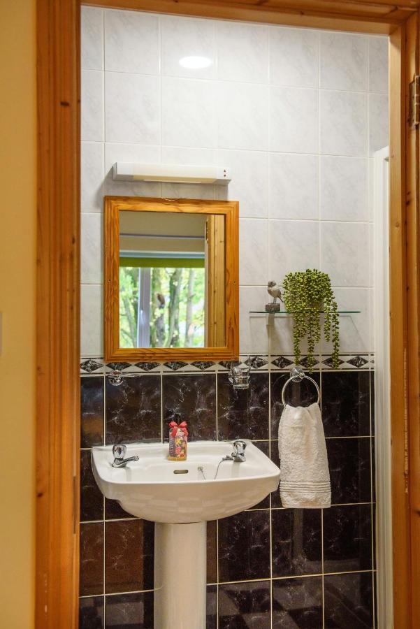 Waterfront Self Catering Houses Carrick on Shannon Kültér fotó