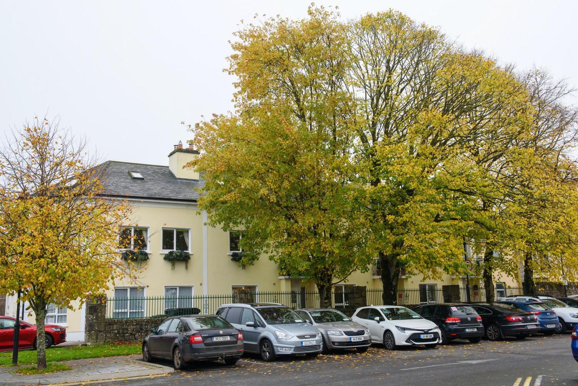 Waterfront Self Catering Houses Carrick on Shannon Kültér fotó